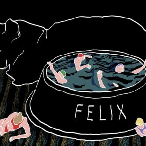 crazy cat lady remme II